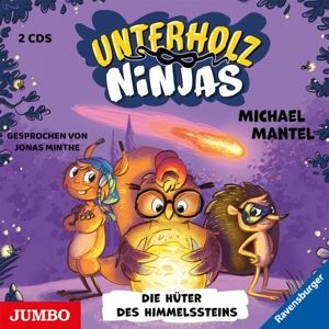 Minthe, Jonas/Mantel, Michael • Unterholz - Ninjas: Die Hüter des Himmelssteins (Fol (2 CD)